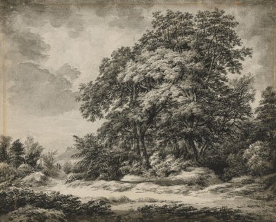 Paisaje forestal de Edward Lear